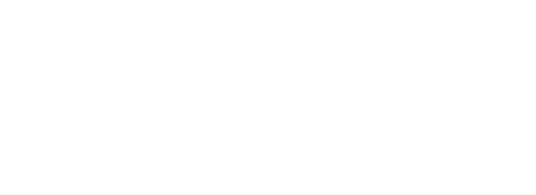 Wild Company